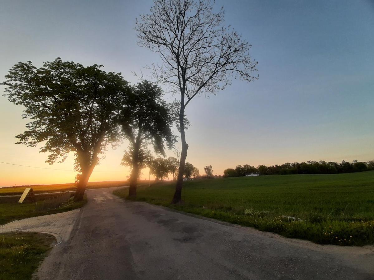 Noclegi Zdzislaw Sieradzki Zbiczno エクステリア 写真