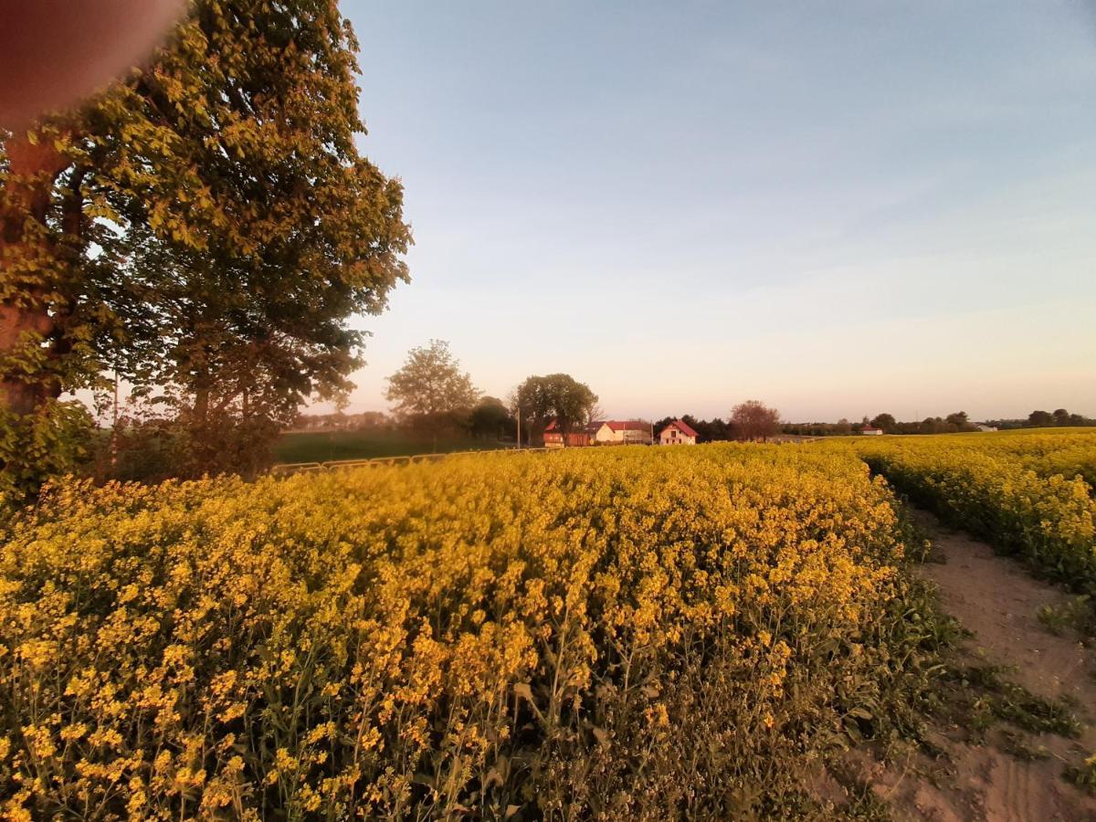Noclegi Zdzislaw Sieradzki Zbiczno エクステリア 写真