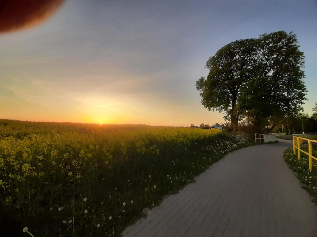 Noclegi Zdzislaw Sieradzki Zbiczno エクステリア 写真