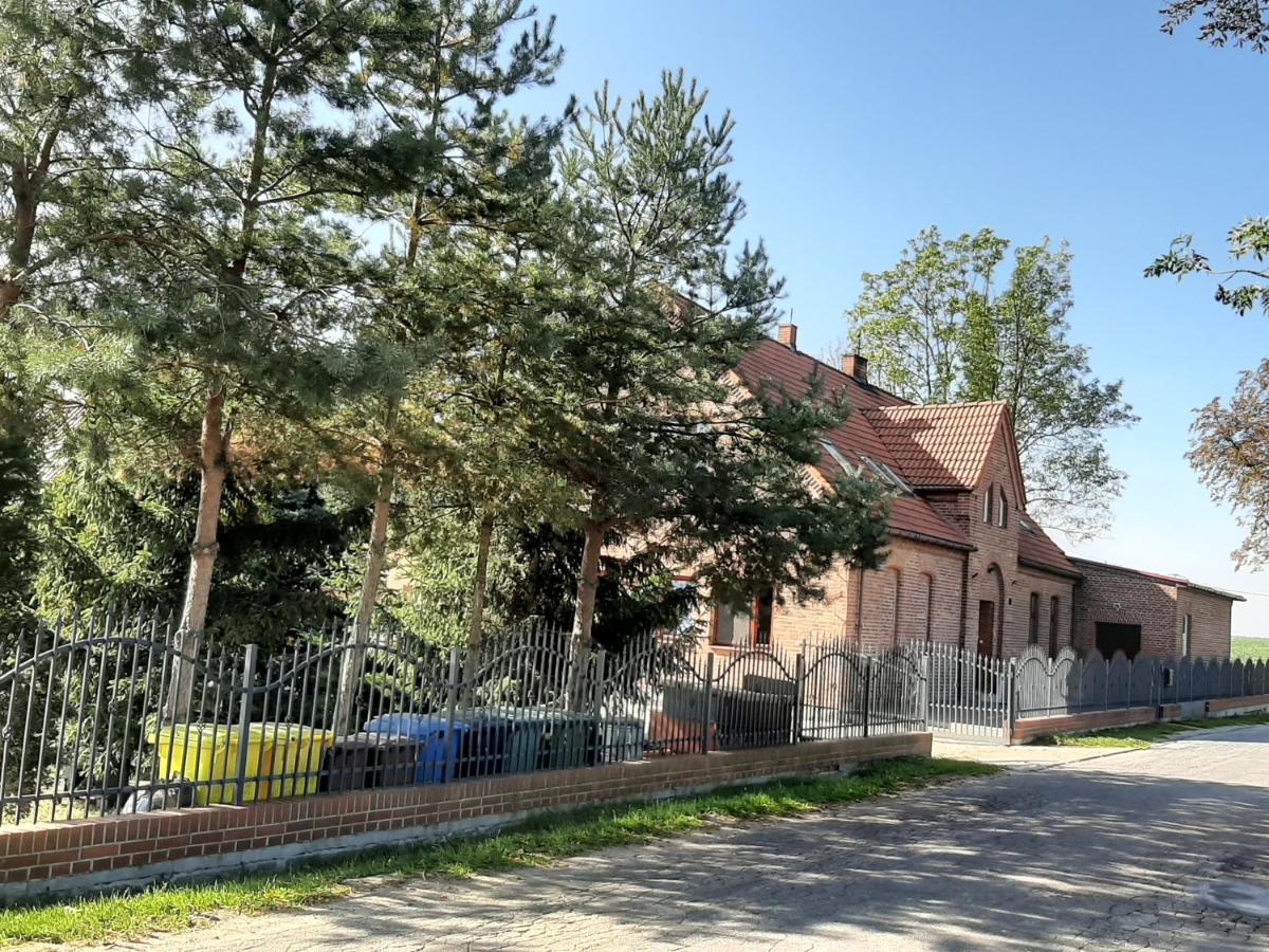 Noclegi Zdzislaw Sieradzki Zbiczno エクステリア 写真