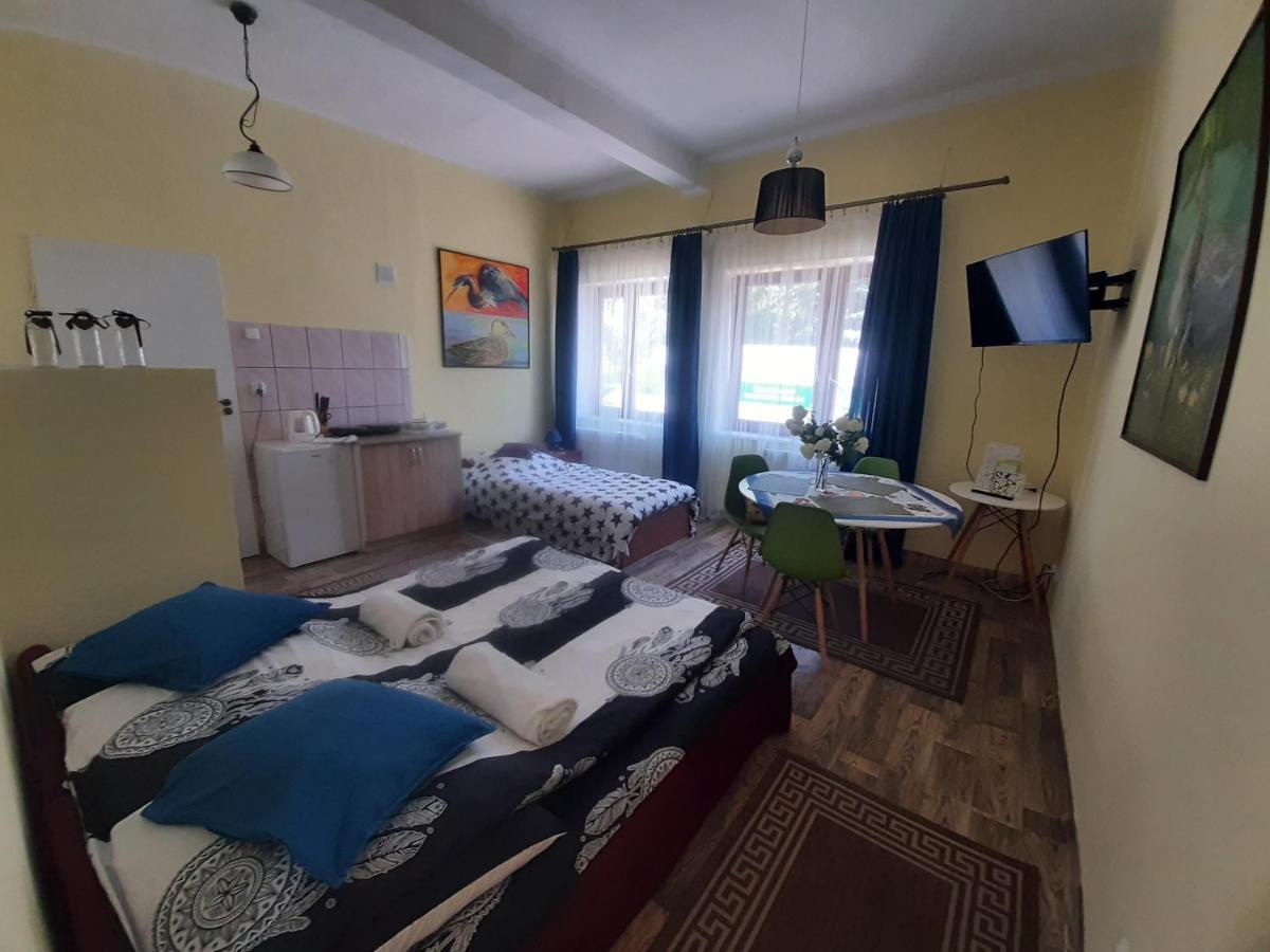 Noclegi Zdzislaw Sieradzki Zbiczno エクステリア 写真