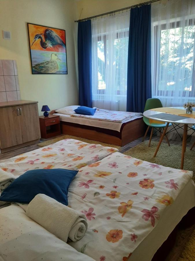 Noclegi Zdzislaw Sieradzki Zbiczno エクステリア 写真